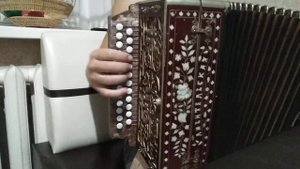 Гармонь Любительская Ре диез