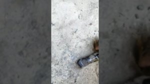 Вылетел палец тормозной колодки заднего моста на тягаче Маз,