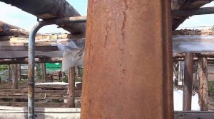 ВЫВОД ДЫМОХОДА ОТ ПЕЧИ В ТЕПЛИЦЕ