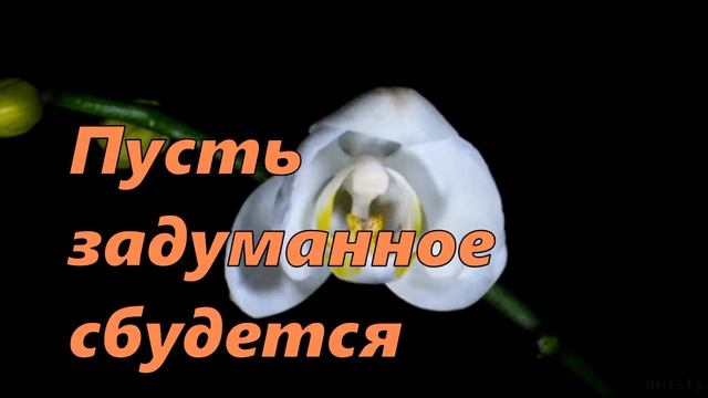 ПОЗДРАВЛЕНИЕ С ДНЕМ РОЖДЕНИЯ ПОДРУГЕ ОТ ЛУЧШИХ ДРУЗЕЙ  С Днём Рождения Дорогая Подруга