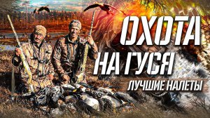 Охота на гуся  / Лучшие налёты  гуся  / Моменты с гусиной охоты