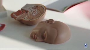 Что творит Лук с организмом Человека? Реальная Польза и Вред ЛУКА