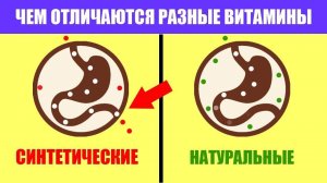 Витамины. Отличие синтетических от натуральных