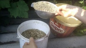 Чем кормить нутрию?