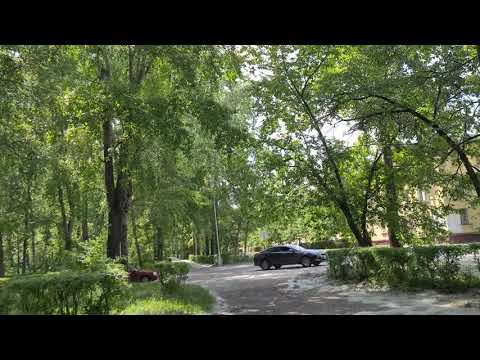 Сибирские просторы. Северск. Тополиный пух, жара, июнь..