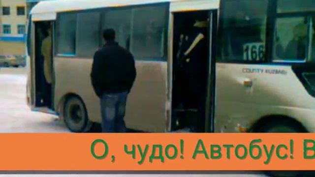 Автобус шаховская городково