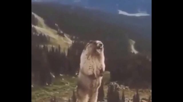 КАК Я УЧУСЬ НА АВТОМЕХАНИКА!