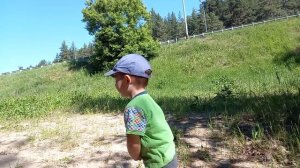 Майский жук - как с ним подружиться