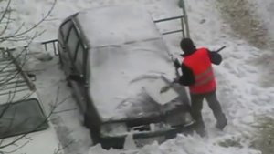 Трудолюбивый дворник