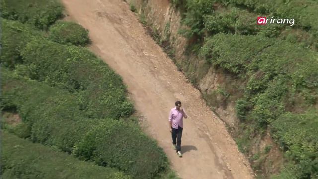 Tasty Trail with Benjamin S2Ep02 Green-tea based dishes(Boseong, South Jeolla)  전남 보성의 녹차 음식 смотреть онлайн