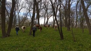 Сбор синеножки и празднование Светлой пасхи 2021г