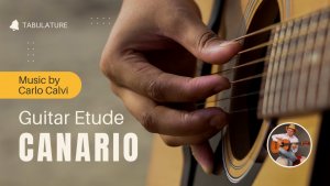 Canario by Calro Calvi (guitar)