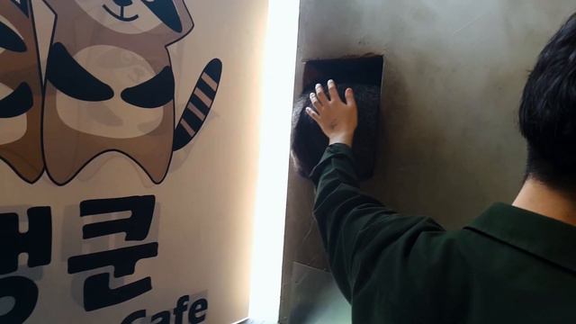 Raccoon Cafe in Seoul. Кафе с енотами в Сеуле. смотреть онлайн