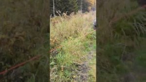 Тест китайской лебёдки. Electric winch 12000lb.