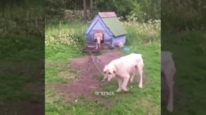 VID_20230115_100721_066.mp4