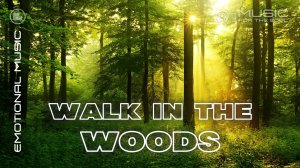 Очень эмоциональная музыка для души | Лес - прогулка по лесу