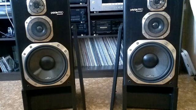 ПИОНЕР Акустика Pioneer Private PRO S-X830