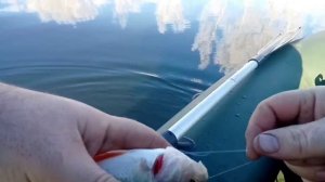 РЫБАЛКА на мормышку с лодки.#6