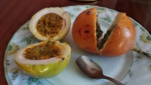 Маракуйя, пассифлора грандила ,мир экзотических растений