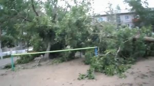 Дул сильный ветер.