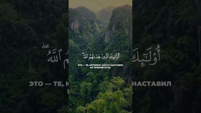 Обладающие разумом #коран #quran #ислам