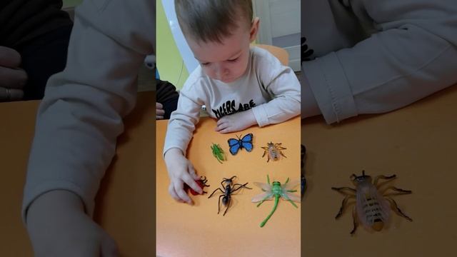 Покажи насекомых. Запуск речи. Раннее развитие. Даня 2.7 (июнь 2023) смотреть онлайн