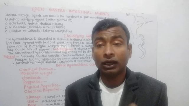 GIT Part 1 Gastro Intestinal Agent Acidifying agent Pharmaceutical 1 смотреть онлайн