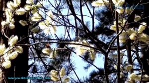 Разбил ты сердце мне