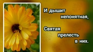 Гимны надежды 183 В минуту жизни трудную (-)