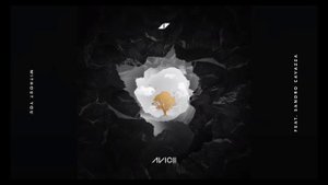 Avicii - Without You ft. Sandro Cavazza (Extended)