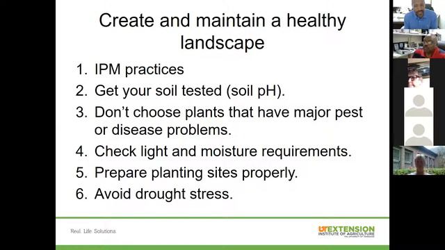 Keeping Your Landscape Looking Good All Summer смотреть онлайн