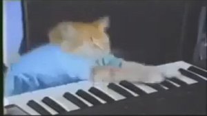 Кот играет на пианино 10 часов! легендарный мем...