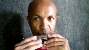 #Chromatic.Hamonica.@T10-40...Easttop...