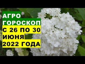 Агрогороскоп с 26 по 30 июня 2022 года