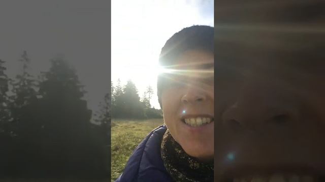 Роде ради радо смотреть онлайн