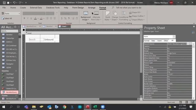Learn MS Access-#6|Beginners Course |Specialized Functions , Automating Worksheets and Workbook