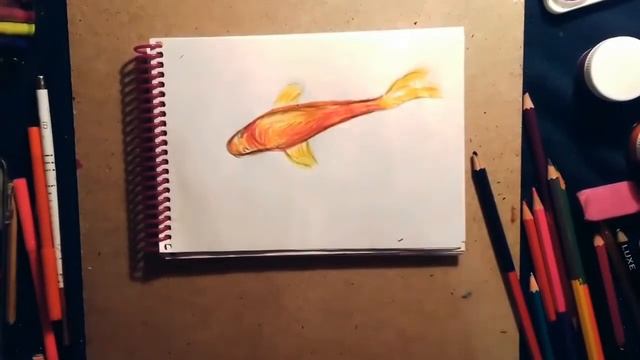 Скетчбук / 3d рисунок / рыбка кои смотреть онлайн