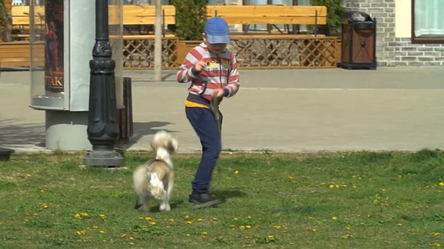 Бизнес в Краснодаре: салон штор в «Немецкой Деревне» смотреть онлайн