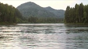 Река Бия ч2// Видеообзор реки Бия