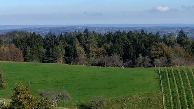 На Словенскую ферму смотреть онлайн