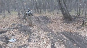 Детский квадроцикл, avantis 125, покатушки!
