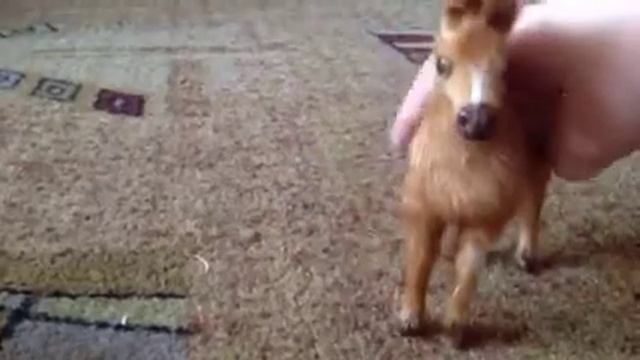 с днем Св.Николая!Что подарили мне?Что подарили вам? смотреть онлайн