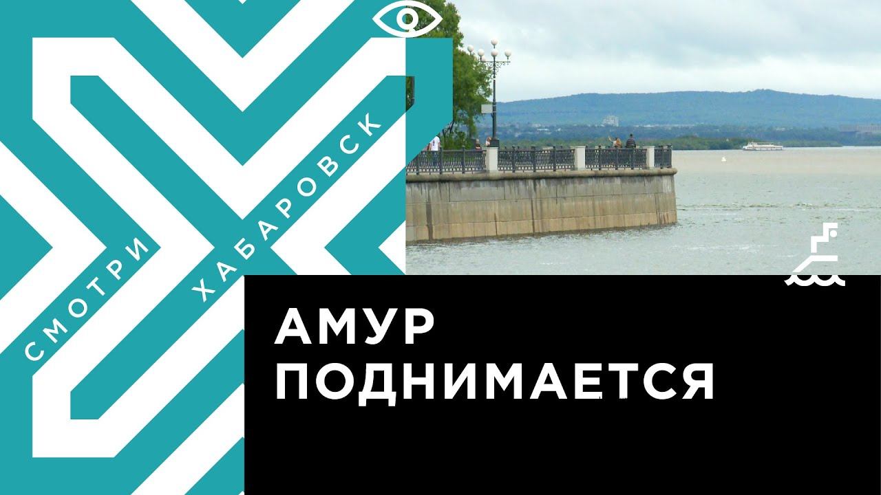 Телеканал хабаровск. Хабаровск жди меня картинки.