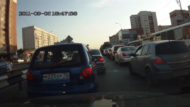 TYT Land Cruiser под управлением йоркширского терьера смотреть онлайн