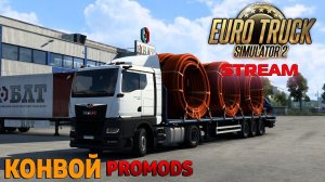 Конвой в Euro Truck Simulator 2 на новом MAN | PROMODS 2.65