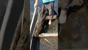 Дешёвый способ почистить озеро