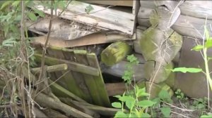 хорошо в деревне летом, пристаёт гавно к штиблетам 16052021(3)