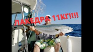 Морская рыбалка. ОГРОМНАЯ РЫБА!!! ЛАКЕДРА 11КГ!!