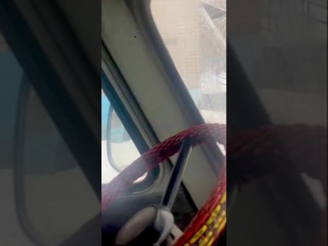 Собака меня поняла смотреть онлайн