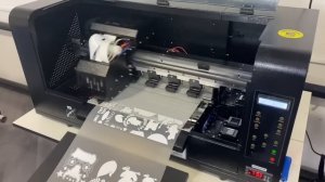 Начало печати DTF с шейкером премиум. Загрузка рулона.